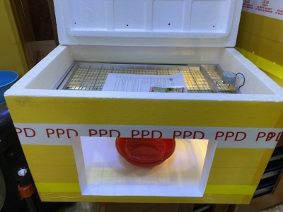 Máy Xốp 80 trứng MX80